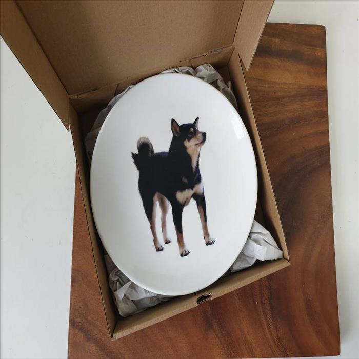 [出清品] 8吋 純白強化陶瓷圓盤 黑柴犬